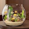 Plastic Desktop Fish Tank Goldfish Bowl Desktop Small Aquarium Round Fish Bowl  Desktop Decoration