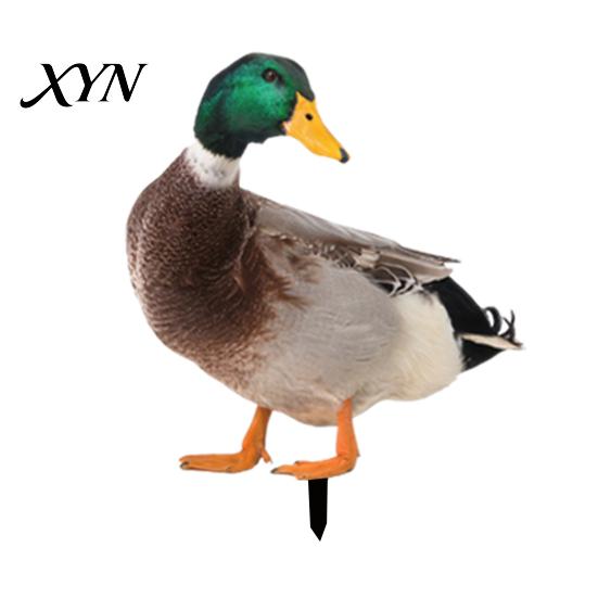 Weather Resistant Yard Decor Realistic Acrylic Animal Stake, 2D Flat Chicken Goose Bird Garden Stake Decoration Bunny Sign for Pathway, Patio,