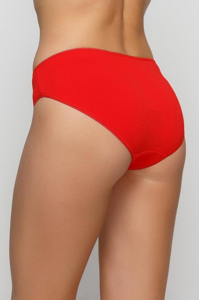 Fleri Slip Panties (55714)