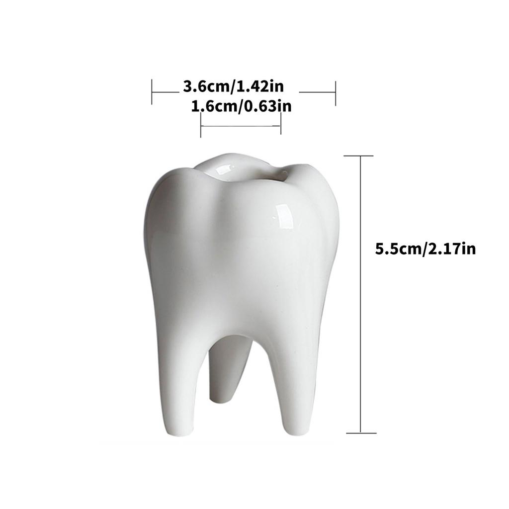 Керамический горшок для суккулентов, кашпо в виде зуба, украшение для суккулентов, кактусов, контейнер для дома, балкона