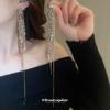 Серьги-гвоздики с бахромой в виде колосков из металла серебристого цвета, высококлассные модные серьги-пусеты с темпераментом, нишевый дизайн для женщин, персонализированные преувеличенные серьги