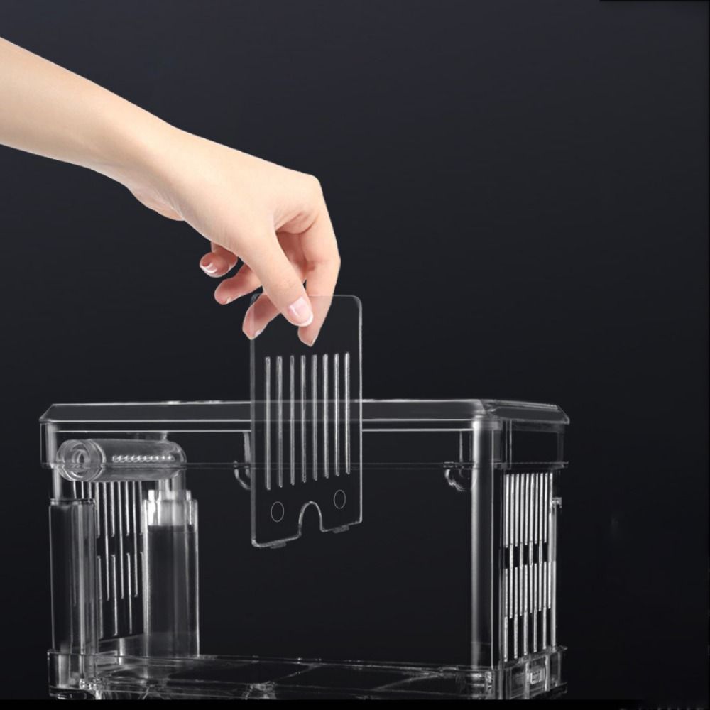 Изоляционная коробка для разведения рыб в аквариуме из прозрачного акрила с присосками для инкубатора для детенышей креветок-клоунов