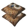 Owl Beliefs Print 5 2 Pcs Square Pillowcase Pillow Cover Cushion Decor Comfort Throw Pillow For Home Car