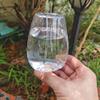350ml Capacity Plant Watering Globes Slow Release Watering Balls Self Watering Bulbs  Garden Plants