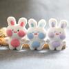 Cute Little Rabbit Pendant Plush Toy Doll Cartoon Doll White Rabbit Bag Hanging Keychain