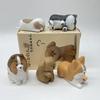 Новые товары в наличии: Злой Милый и Избалованный Злой Пес Blind Box Милое Настольное Украшение Фестивальный Подарок с Сиба-ину и Корги