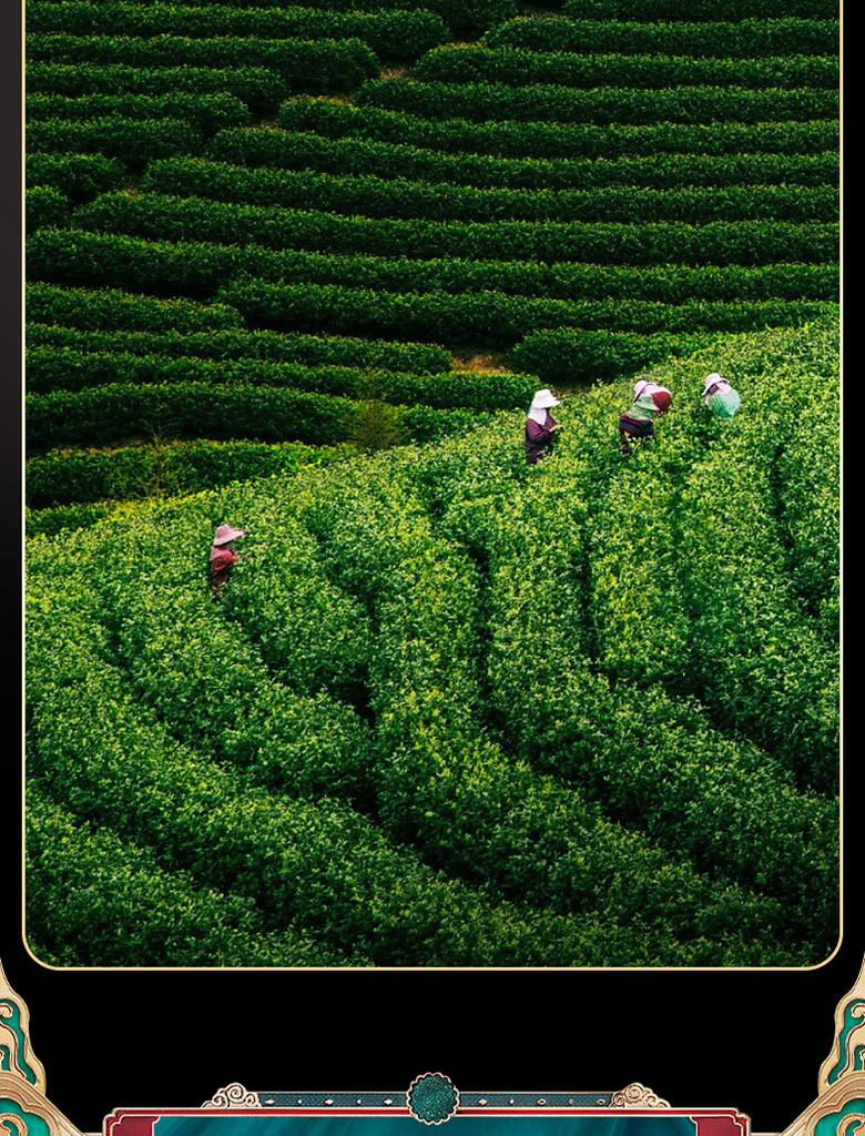 Jieying Oolong Tea Anxi Original Tie Guan Yin Fragrant New Tea Gift Box Set 250g