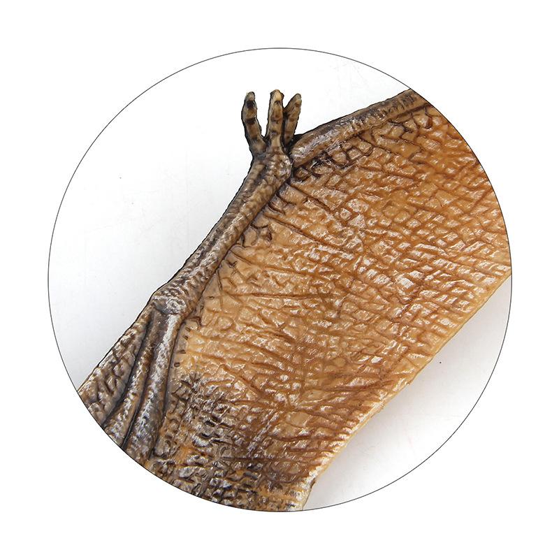 Детали Английский Мир Динозавров Фигурка Модель Игрушка ПВХ Цельный Птеродактиль Птеродактиль Кукла