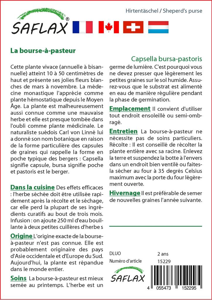 SAFLAX Garden in the Bag - Пастушья сумка - 1000 семян - С субстратом в подходящем мешке - Capsella bursa-pastoris