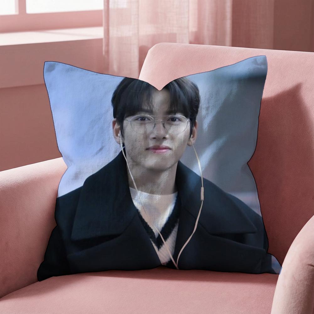 Чехол для подушки J-Ji C-Chang Wook, многоцелевой чехол для подушки для дома и автомобиля - Двусторонний, мягкий и прочный для ежедневного использования