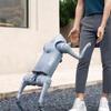 Unitree Go2 AI Robot Dog
