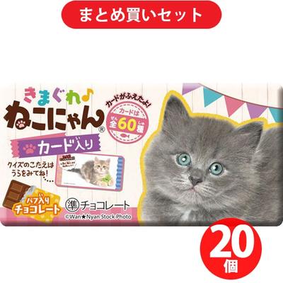 Shoei Delicy Причудливый кот кошка 1 шт x 20 наборов Шоколад