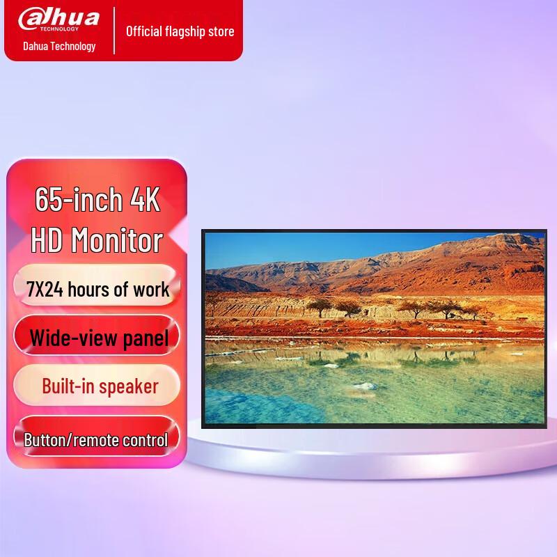 Dahua Professional LED LCD Surveillance Monitor
