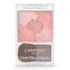 Glow Fleur Cheeks 11 Chai Fleur 6.1g Pink
