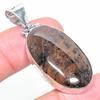 Natural Honey Dendritic Gemstone 925 Sterling Silver Gift Pendant 1.97" H2h62