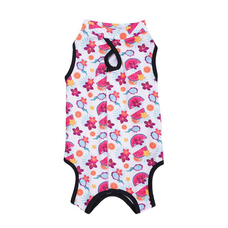 Pet Surgery Recovery Clothing: Cat & Dog Apparel for All Seasons