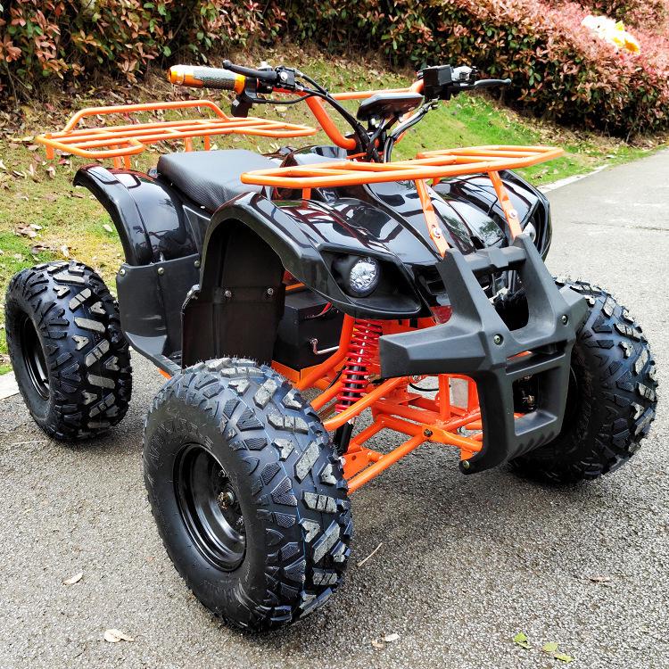 48-64V Electric All-Terrain Beach Buggy