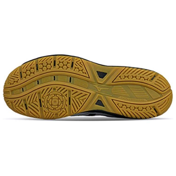 Mizuno Кроссовки для бадминтона Sky Blaster 2 Унисекс Низкие Белые 71GA204509