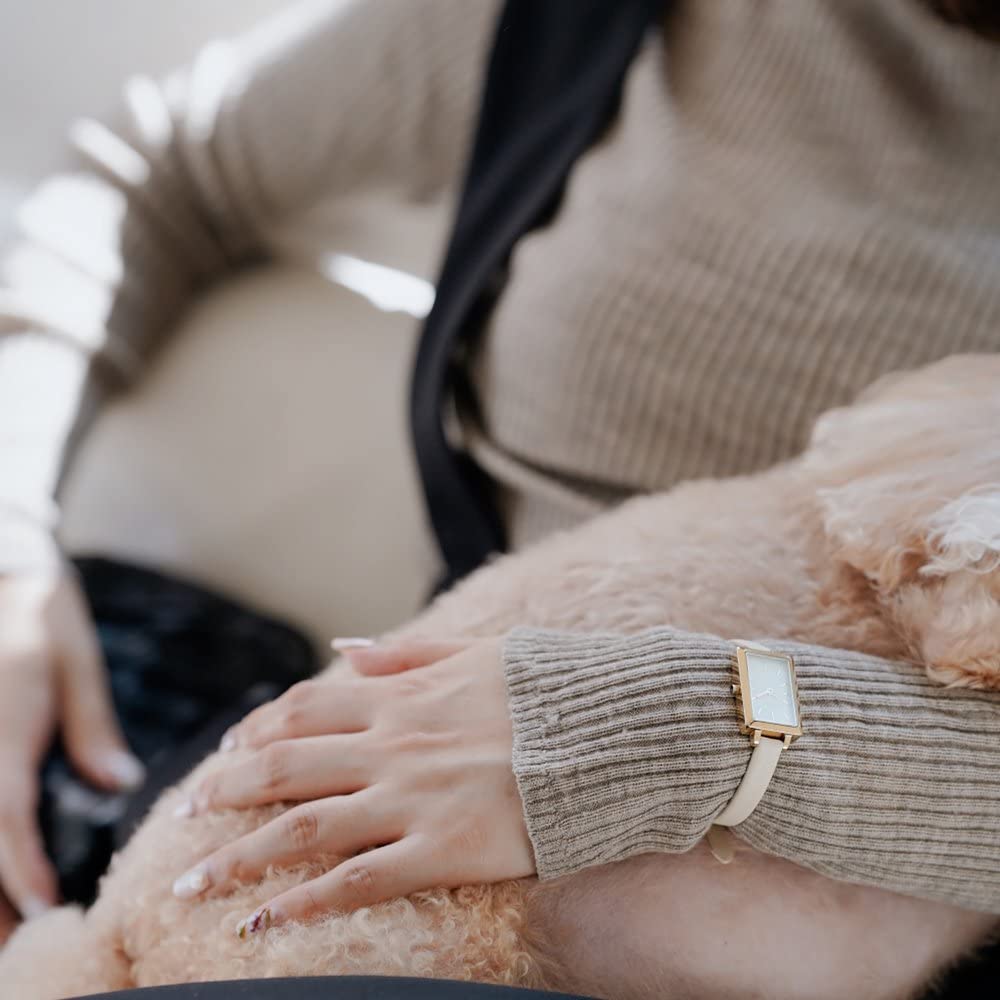 Смотреть EVA 1738m [Бреда] Женщины