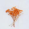 Mini Dried Flower Bouquet Card Decoration DIY Kit: Shooting Props, Gift Box Accessories, Souvenir Corsage.