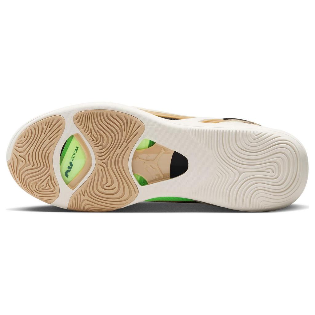 Баскетбольные кроссовки для мужчин Air Jordan Tatum 1 PF Tunnel Walk Fossil Sesame DZ3321-200
