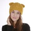 Autumn Winter Knitted Warm Women's Jacquard Fried Dough Twist Cat Ears Cute Wool Single Layer Hat
