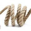 Fitness Climbing and Battle Rope with Hook
