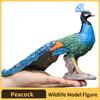 Реалистичная модель павлина, игрушка для детей - Ручная работа, Коллекция животных, Образовательная, Изучение природы, Подарок на день рождения, Безопасная
