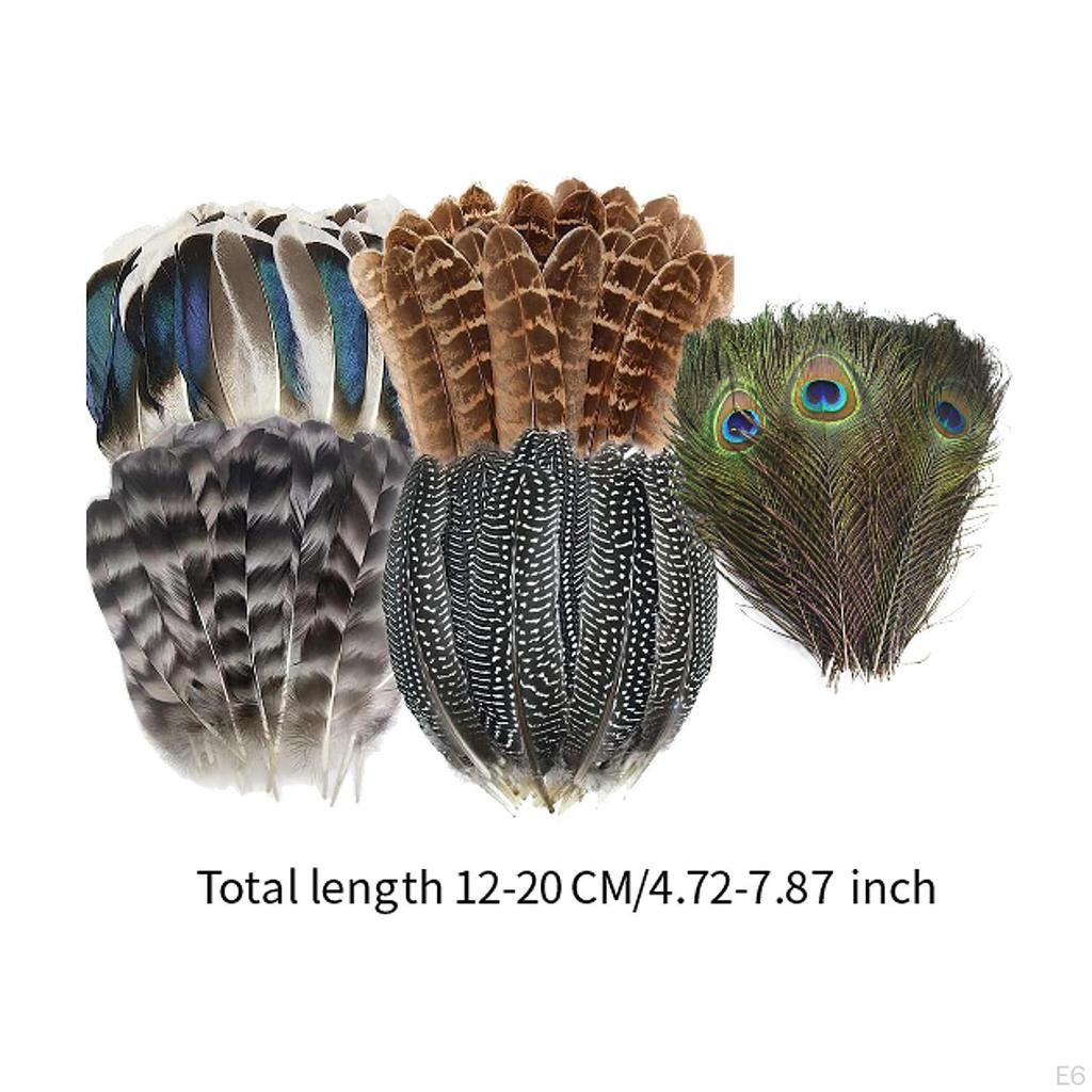 Crafts Feathers Artificial Feather Decorative Art Supplies Ornament Colorful Handicraft
