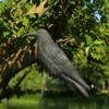 Black Scarer Pigeon Deterrent Crow Decoration Halloween Lifelike Hunting Decoy  Courtyard Garden