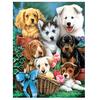 DIY Diamond Painting Animal Dogs Group Full Dimaond Embroidery