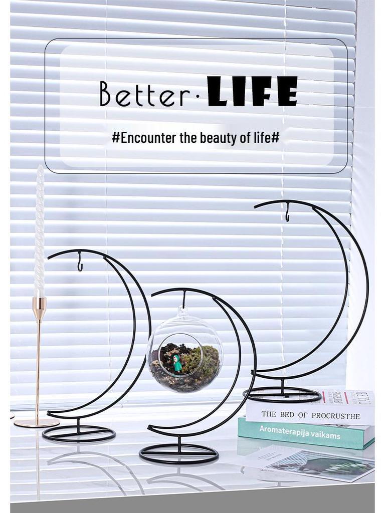 Moon-Shaped Moss Micro Landscape Glass Bottle with Iron Art Hanging Hook