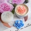 Rhododendron DIY Scented Candle Making Plaster Diffuser Stone Flower Deco Silicone Mold Tinplate Aluminum Box for Candle Making