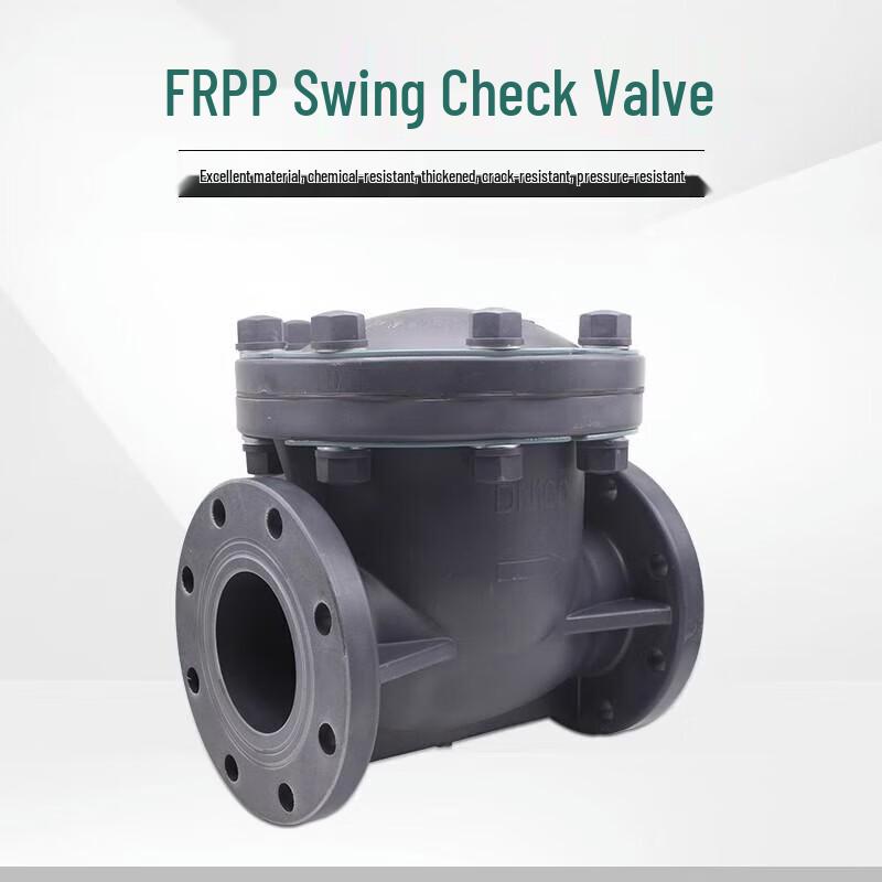 Junlun Industrial Plastic Swing Check Valve CN plug (adapter included)