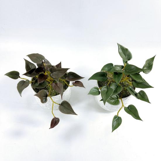 Имитация зеленого растения Суккуленты Руки на ощупь не увядшие Не выцветают Легкий уход Тонкая работа Орнамент Листья кориандра Искусственный лист