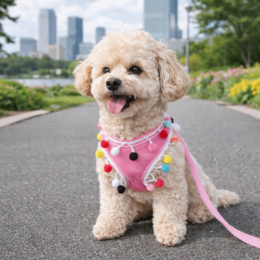 Breathable Mesh Dog Harness Vest Colorful Ball Dog Chest Strap Pet Harness Leash  Daily Use