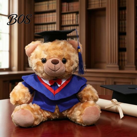Luxury Gift Packaging Bear Personalized Graduation Gifts 2026 for Her, Cute Teddy with Embroidered Gown Award And Cap, Soft Plush Mascot College High
