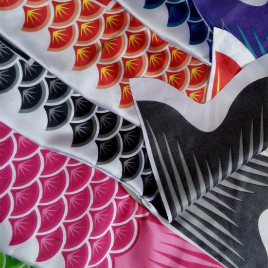 Набор для самостоятельной ловли карпа, пустые ветровые носки, яркие цвета, прозрачная рыба