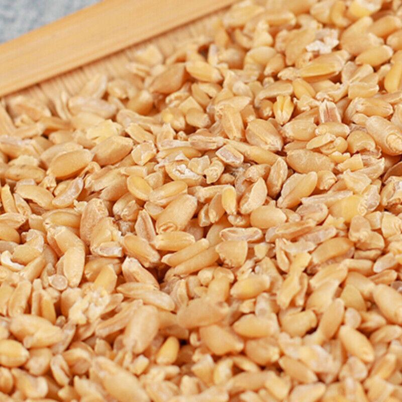 Отборный высококачественный пшеничный органический полезный травяной чай, китайский фирменный напиток, 500 г