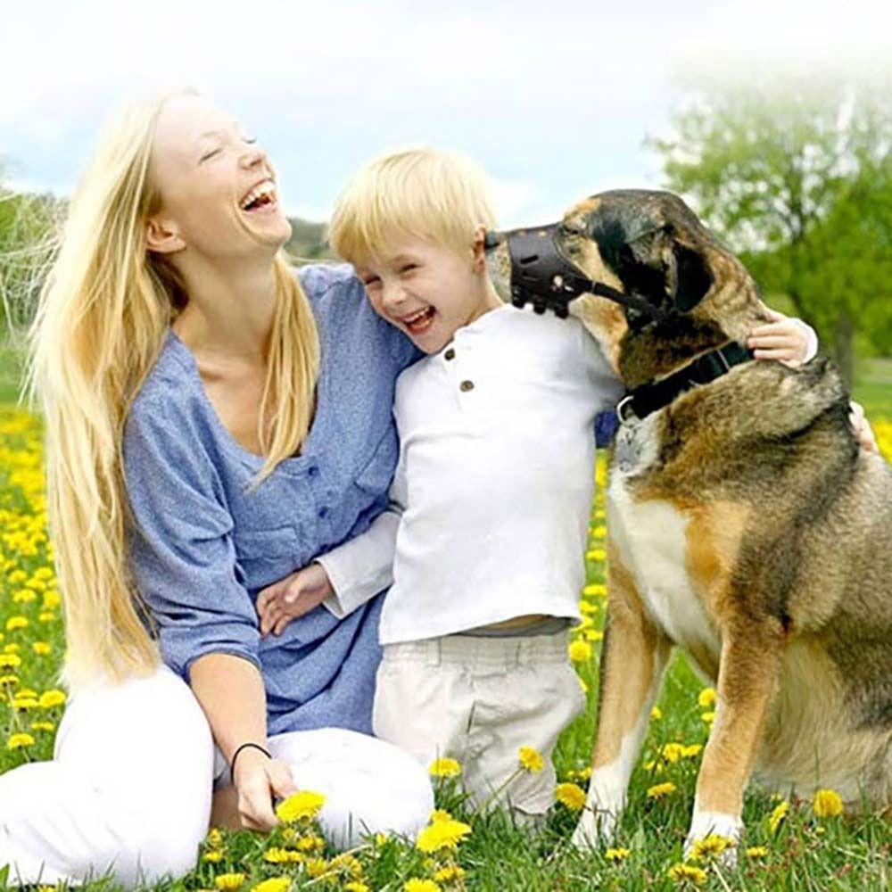 For Small Large Dogs Golden Retriever Dog Muzzle Mouth Mask Dog Prevention Supplies Pet Mouth Cover