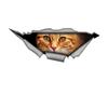 Car Stickers for Cat Hidden In Holes, Waterproof Irregularly Shaped Car Decoration Decals