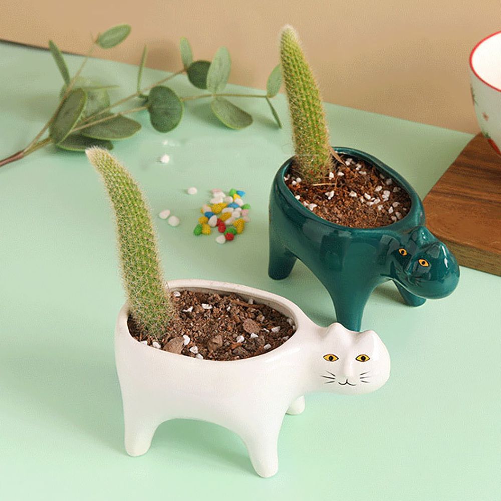 Potted Living Room Home Decor Cactus Plants Plant Container Tabletop Ornaments Flower Pot Plant Pot