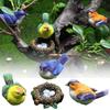 1 SET Resin Miniature Birds Figurines Mixed Sizes Simulation Sparrow Model Outdoor Indoor