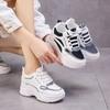 Dad Shoes 2025 Spring and Autumn New Internet Celebrity Ins Shoes Trend Breathable Women's Shoes Increase Height and Show Small Feet