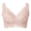 Bradelis New York Wireless Shapewear Beautiful Lace Heartful Cup Size Rose L Bra, Bra, 25, Beige,