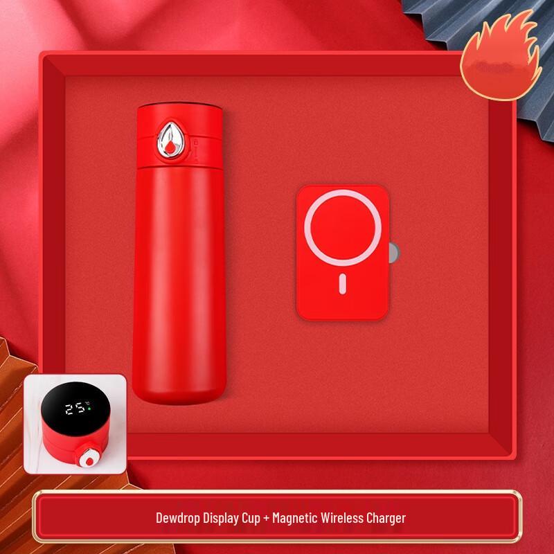 Подарочный набор: Умная термобутылка и Power Bank Shangqi