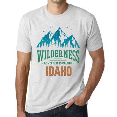 Футболка Homme Graphique Футболка с графическим принтом Wilderness IDAHO White Smoke