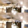 DIY Cat Ornament Car Decoration Cat Refrigerator Sticker High Quality Edge Cat Figurines