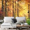 Photomural Forest Autumn Colors Self-Adhesive Mural 270x180