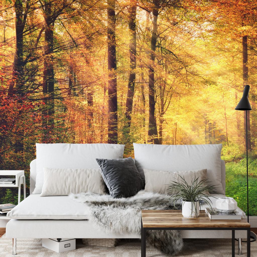 Photomural Forest Autumn Colors Self-Adhesive Mural 270x180